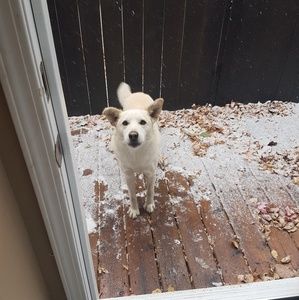 Meet your Posher, Cameron